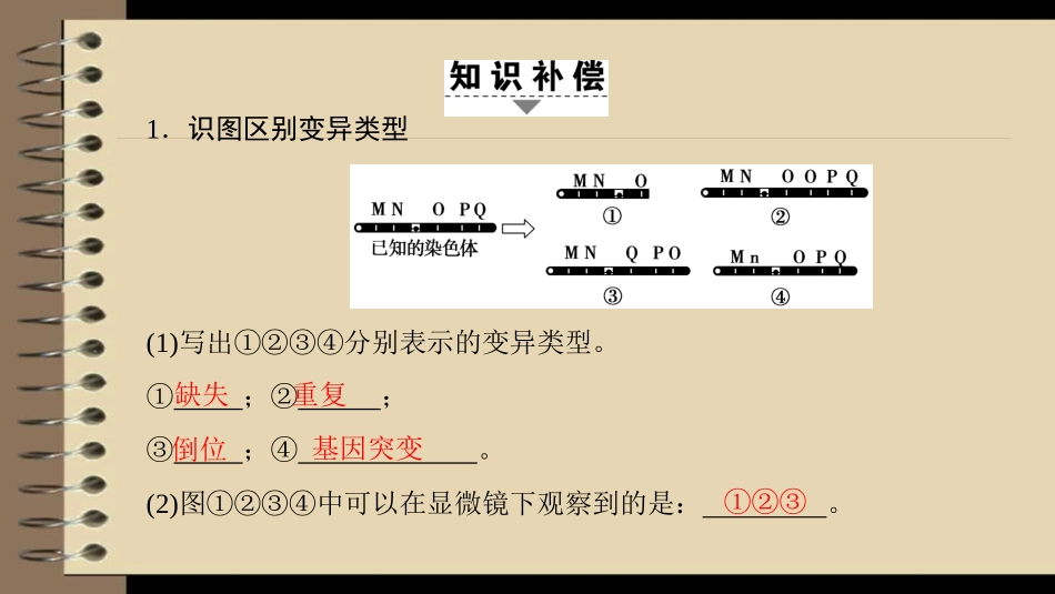 可遗传变异来源、应用和基础知识点_第3页