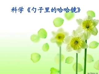 大班科学勺子里的哈哈镜