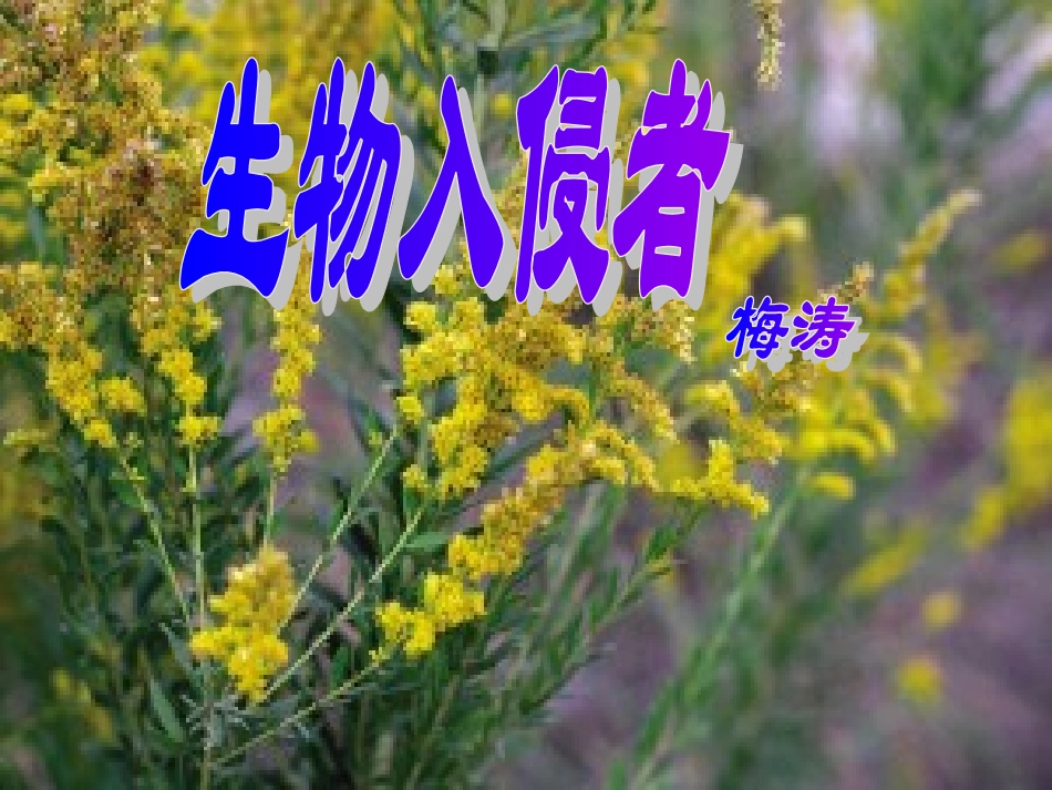 生物入侵者课件_第1页