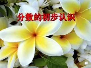 新人教版三年级数学上册分数的初步认识课件