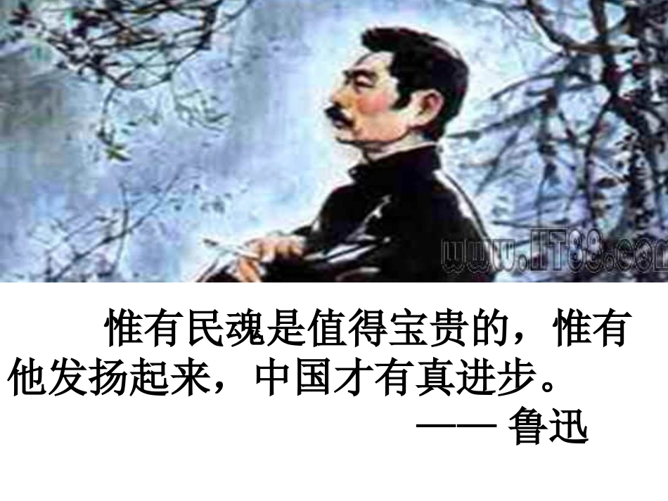 初识鲁迅——少年闰土PPT_第1页