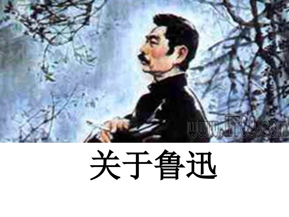 初识鲁迅——少年闰土PPT_第2页