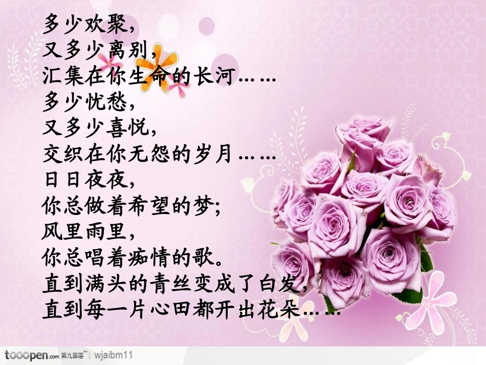 献给老师的花束_第2页
