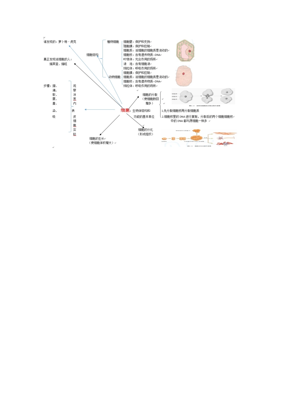 生物体有相同的基本结构_第1页