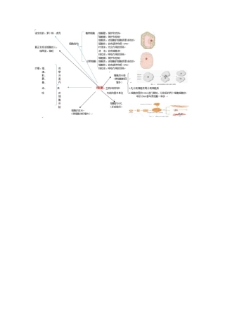 生物体有相同的基本结构