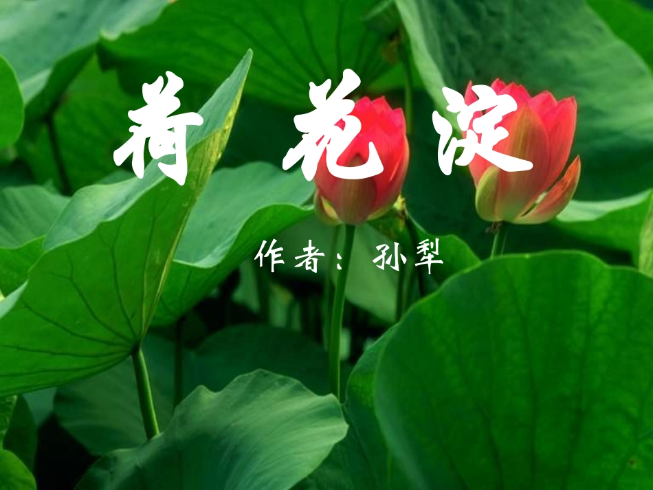 《荷花淀》PPT课件_第1页