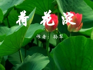 《荷花淀》PPT课件