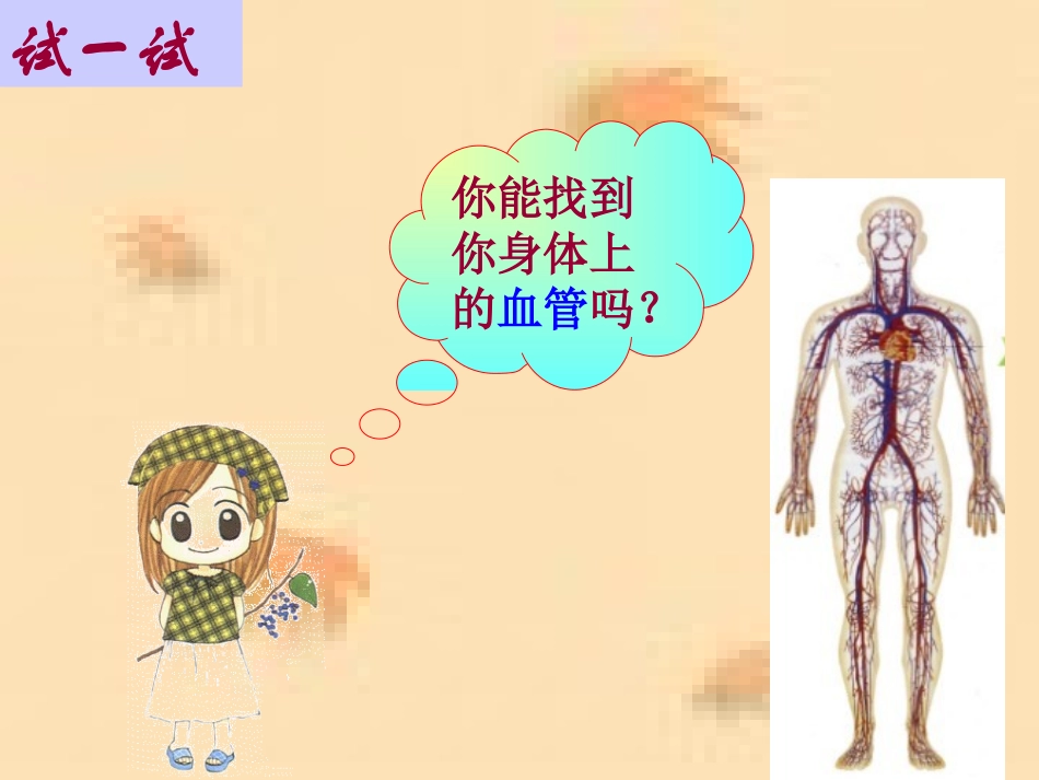 第十四章第一节血管_第3页