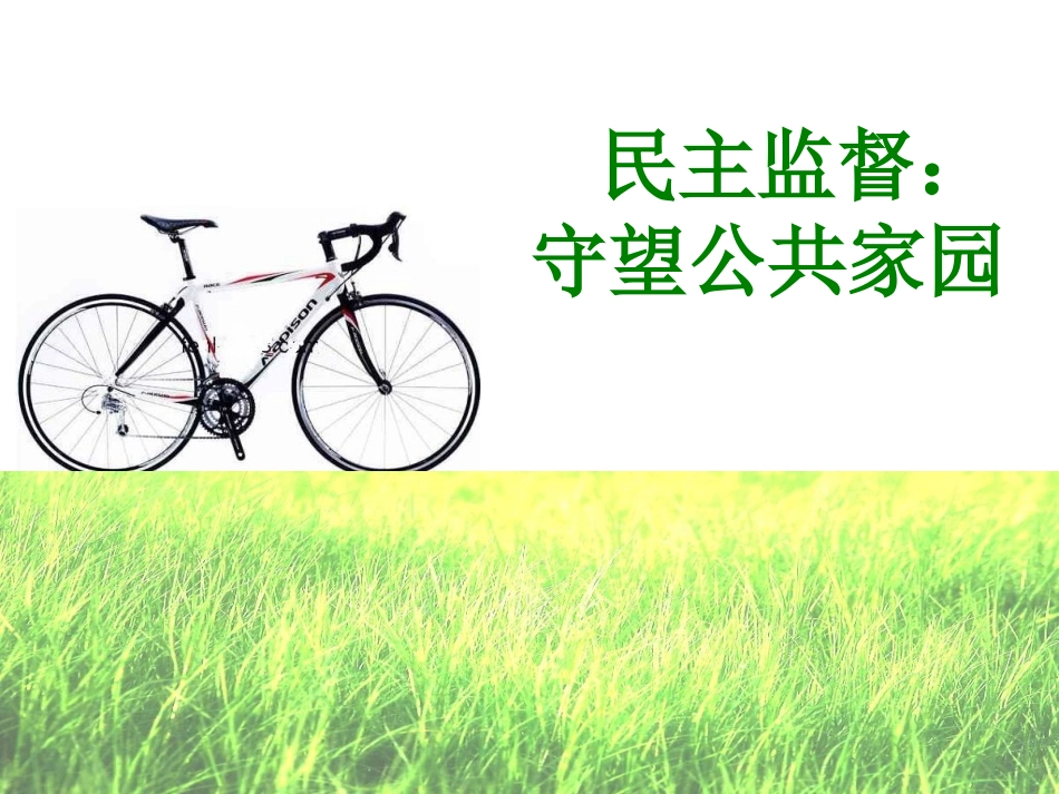 民主监督：守望公共家园）_第2页