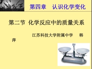 韩萍化学反应中的质量关系