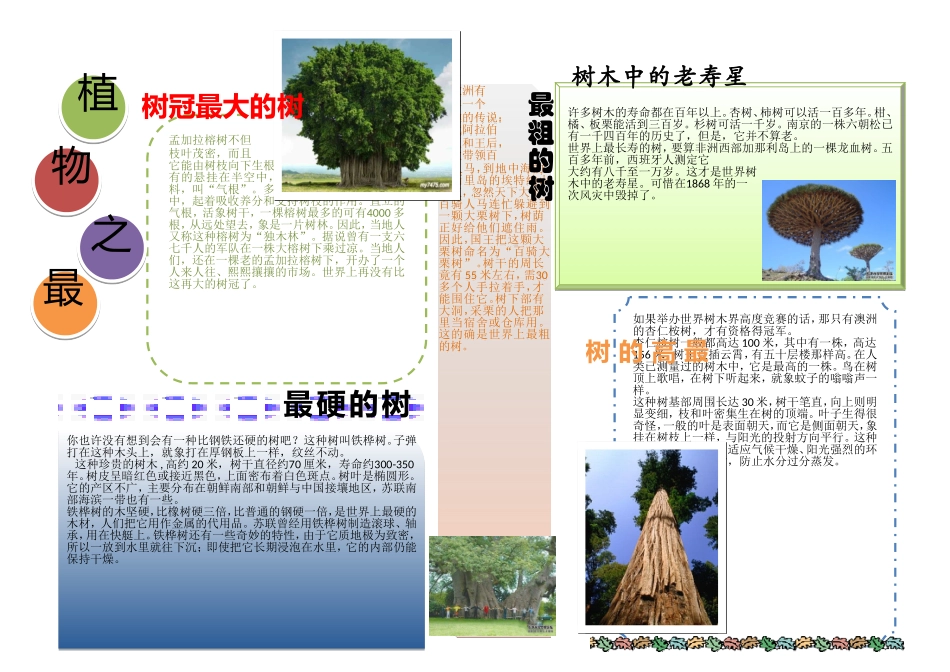 植物之最范例_第1页
