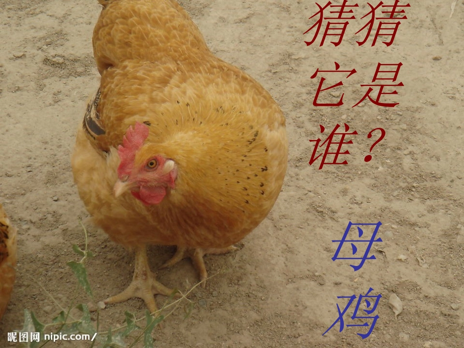 jqx课件柯小静_第2页