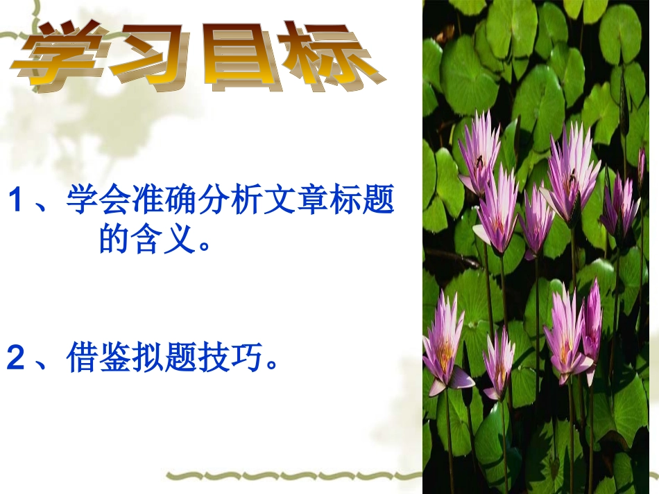 理解标题含义_第2页