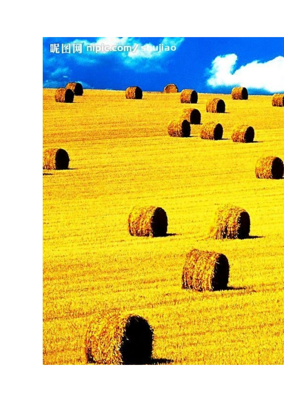 “我爱秋天”主题网站资料（二年级）_第3页