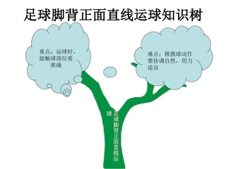 足球脚背正面直线运球知识树
