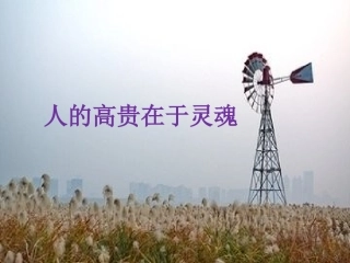 第八课《人的高贵在于灵魂》课文