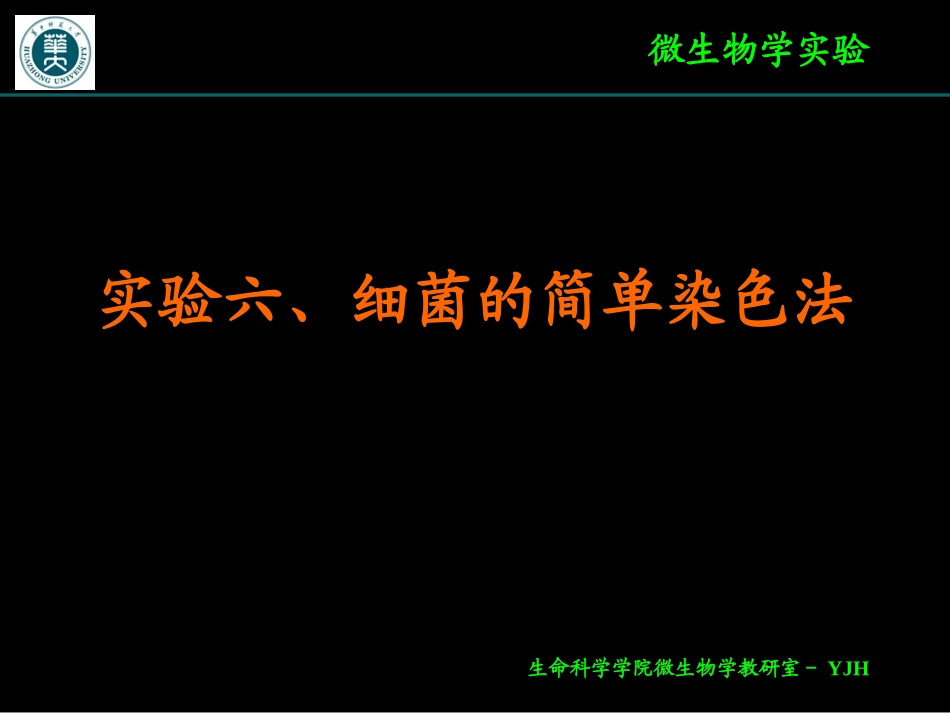 细菌简单染色_第1页