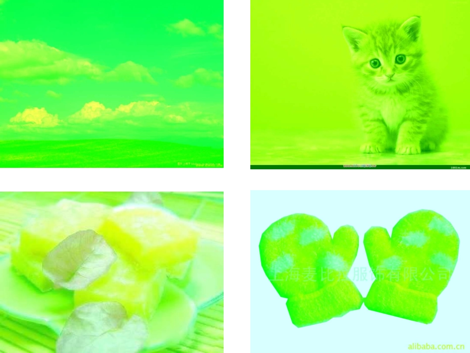 小班语言课件：绿色的世界_第3页