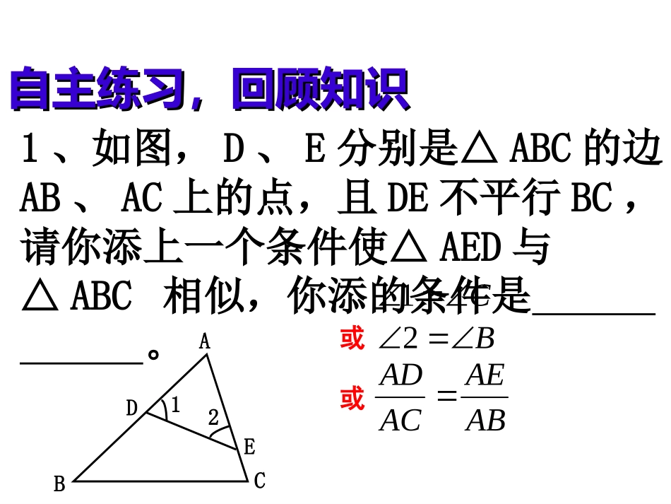 相似三角形的性质和判定的复习_第2页