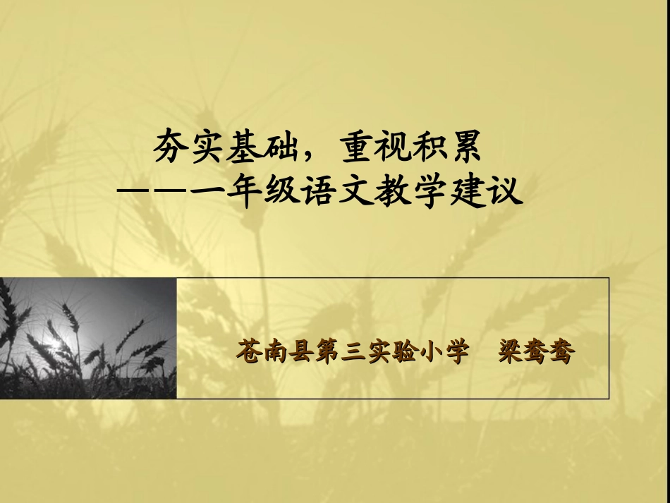 名师梁鸯鸯夯实基础，重视积累——一年级语文教学建议_第1页