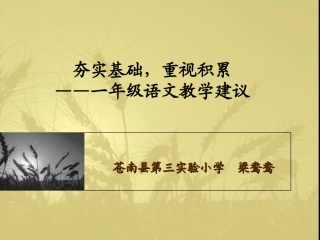 名师梁鸯鸯夯实基础，重视积累——一年级语文教学建议