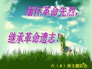 缅怀先烈主题队会