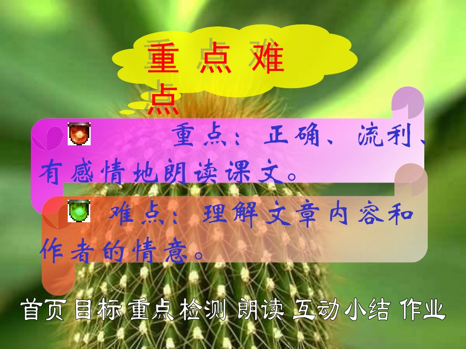 金黄的大斗笠PPT课件_第3页