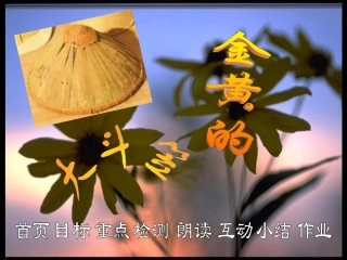 金黄的大斗笠PPT课件