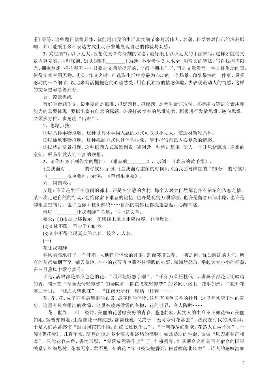 中考作文复习指导_第2页
