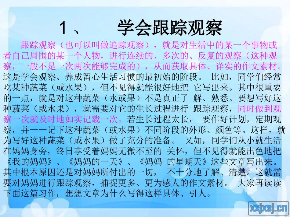 作文指导——学会留心周围事物_第3页