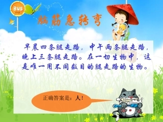 【课件】新伙伴