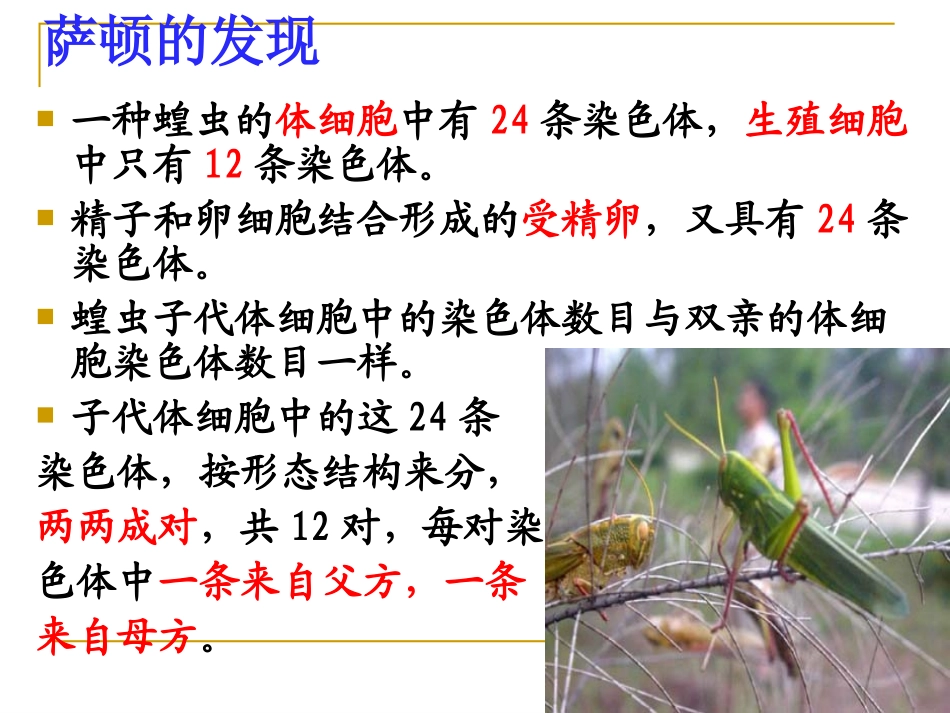 第二节基因在染色体上_第3页