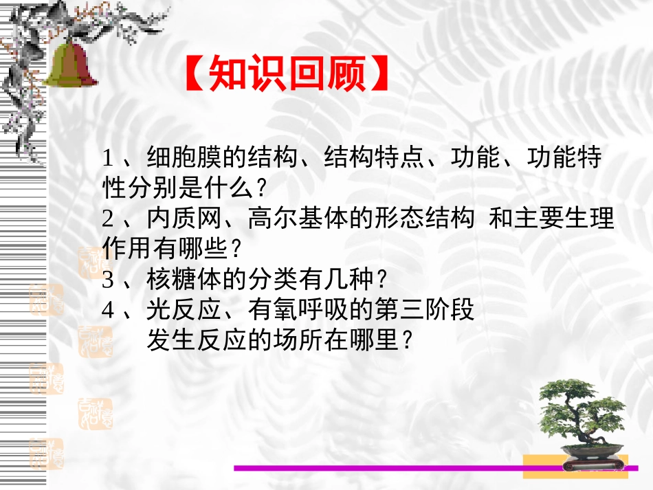 《细胞的生物膜系统》课件_第2页