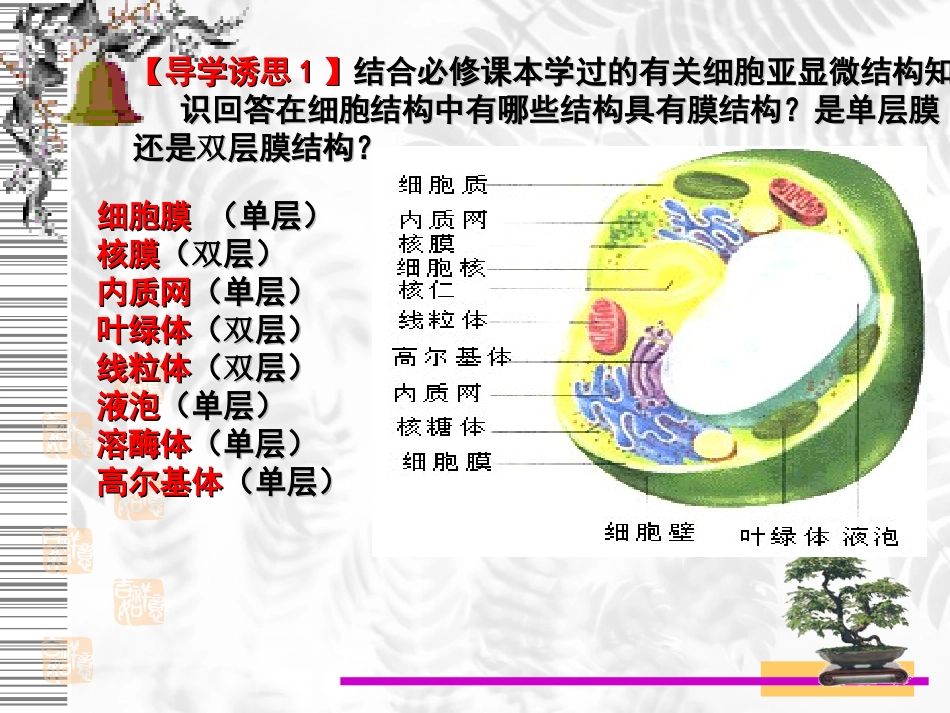 《细胞的生物膜系统》课件_第3页