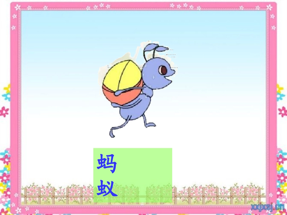 蚂蚁和蝈蝈魅力上课用_第3页