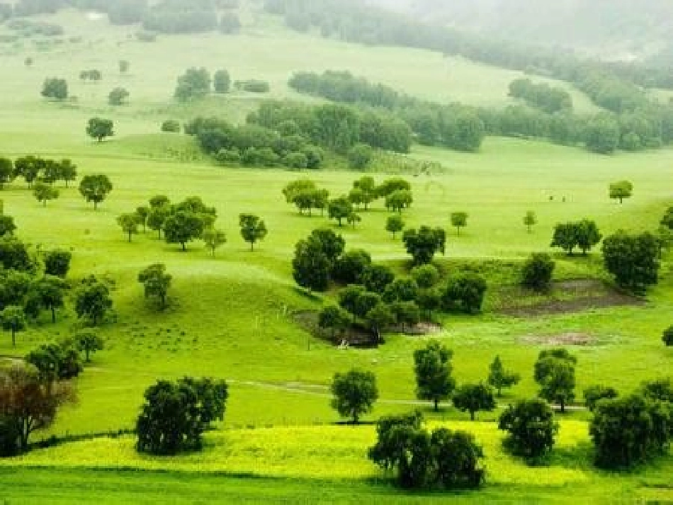 美丽的草原演示文稿_第2页