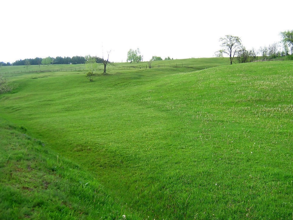 美丽的草原演示文稿_第3页