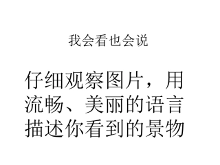 美丽的草原演示文稿