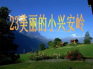 美丽的小兴安岭（第二课时）