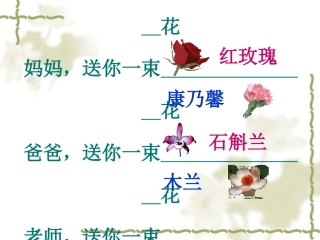 送你一束转基因花shangke