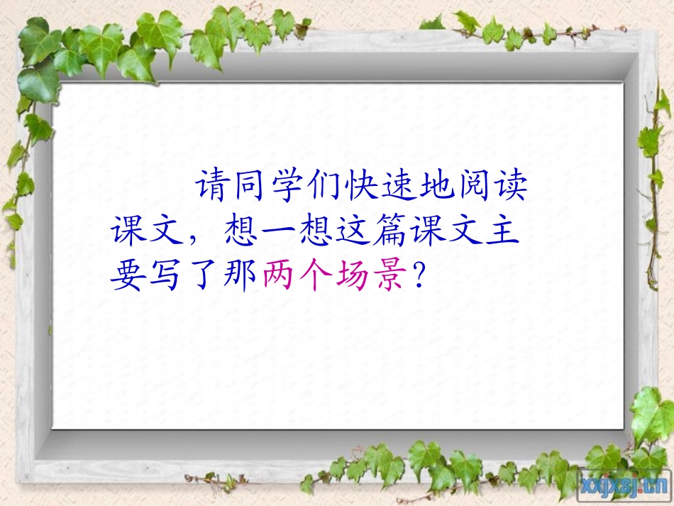 六年级语文上册《老人与海鸥》张爱辉_第3页