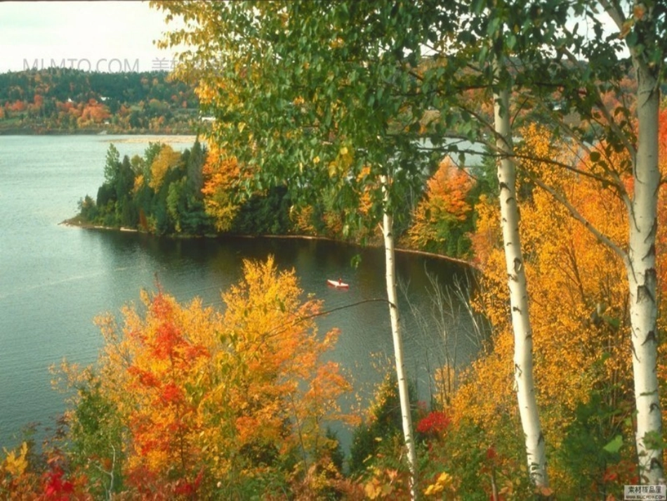 课文《秋天》课件_第3页