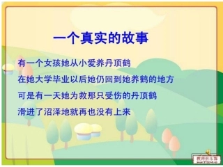 《灰椋鸟》第二课时PPT