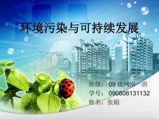 环境污染与可持续