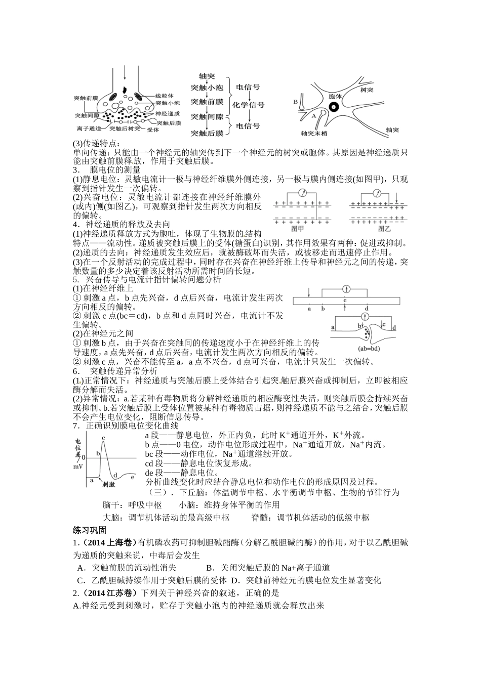 人教版生物必修三神经、体液调节复习学案_第2页