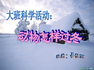 动物怎样过冬