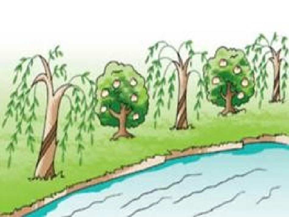 大班数学：有趣的规律_第2页