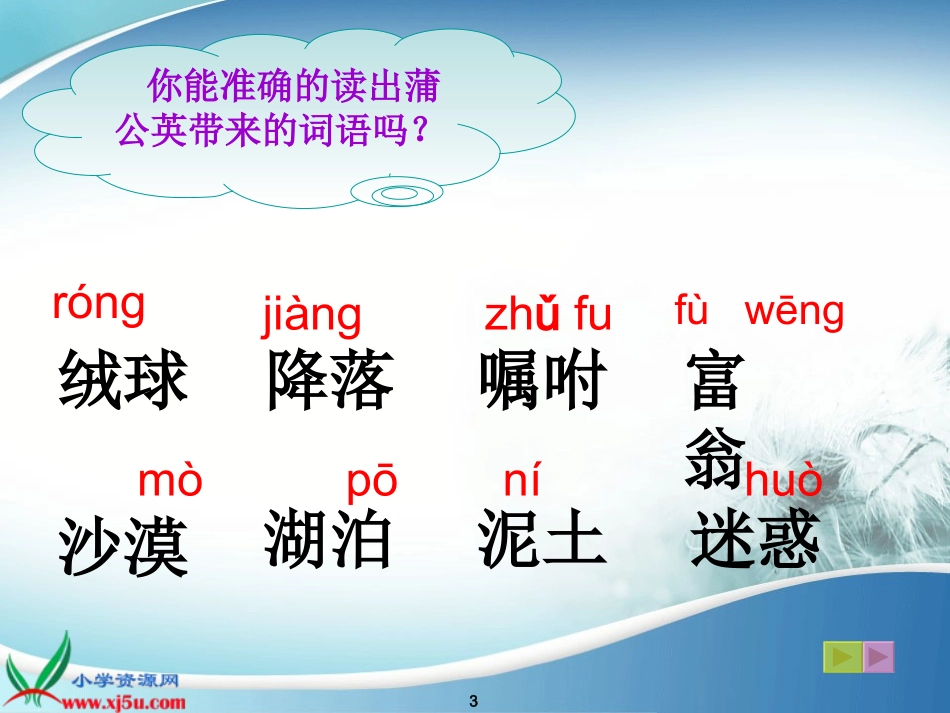 公开课蒲公英_第3页