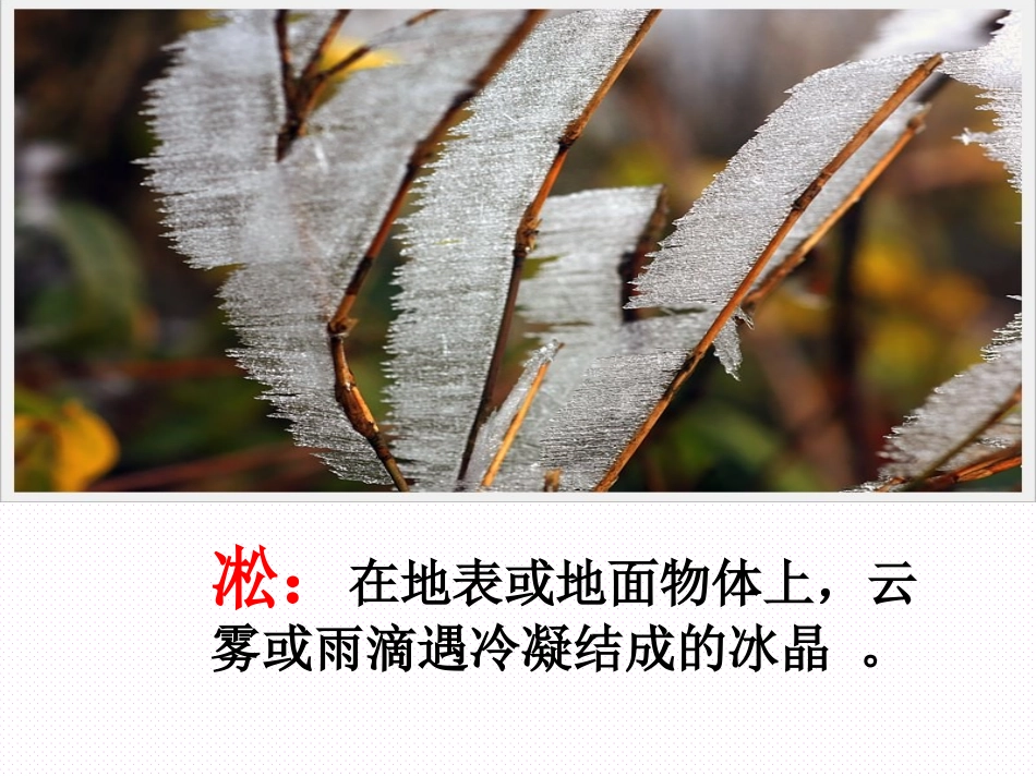 苏教版四年级语文上册雾凇_第1页