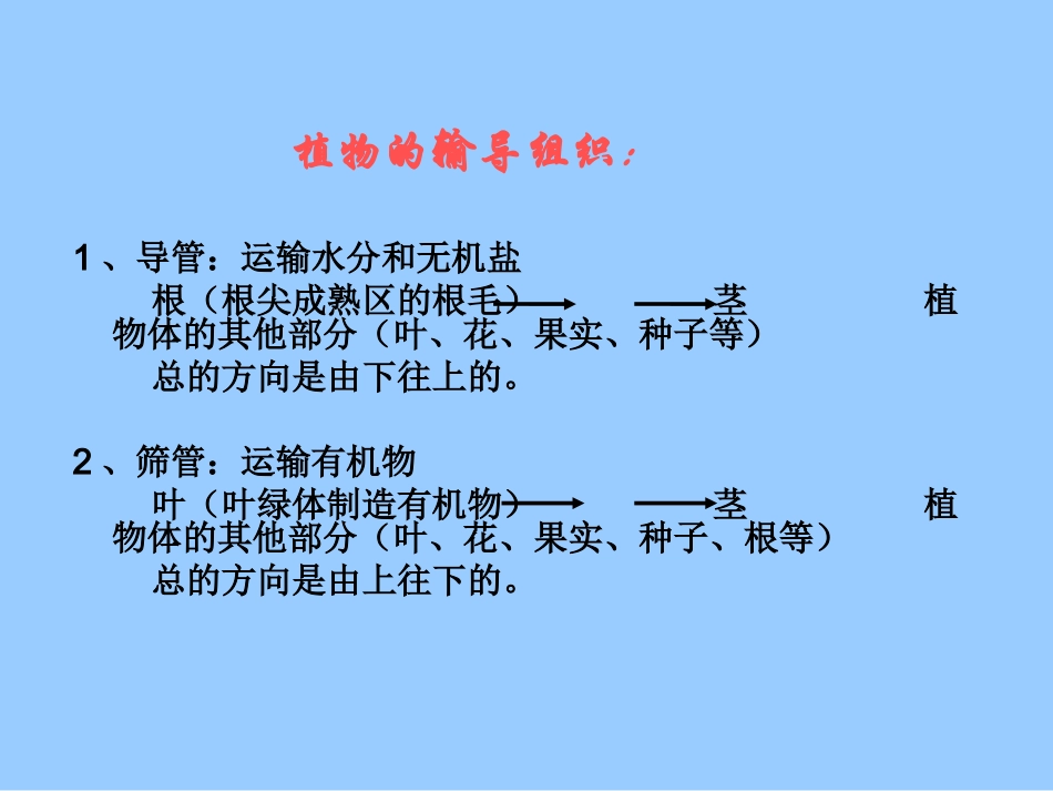 绿色植物的蒸腾作用（丁家志）_第3页